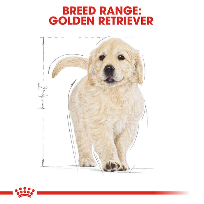 Royal Canin Golden Retriever Puppy Dry Dog Food 12kg