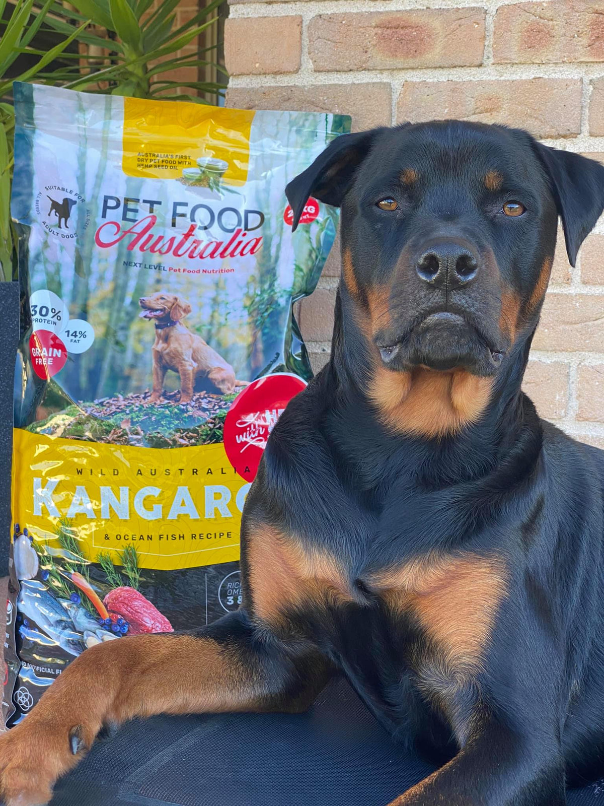Kangaroo & Ocean Fish Dry Food