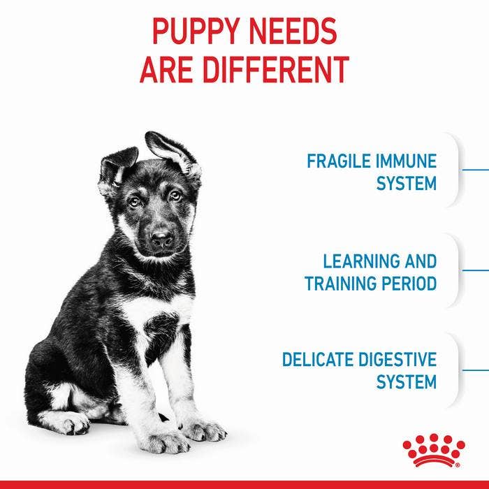 Royal Canin Maxi Breed Dry Puppy Food