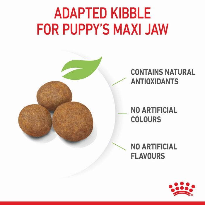 Royal Canin Maxi Breed Dry Puppy Food