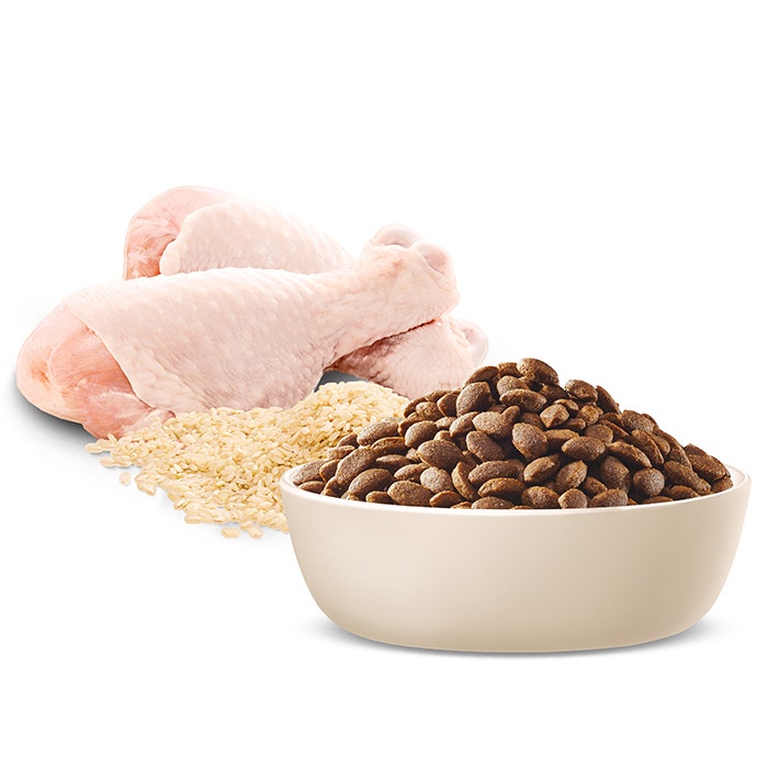 Advance Chicken & Rice Large Breed Dry Puppy Food