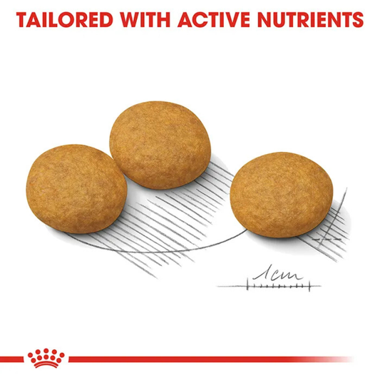 royal canin dermacomfort mini