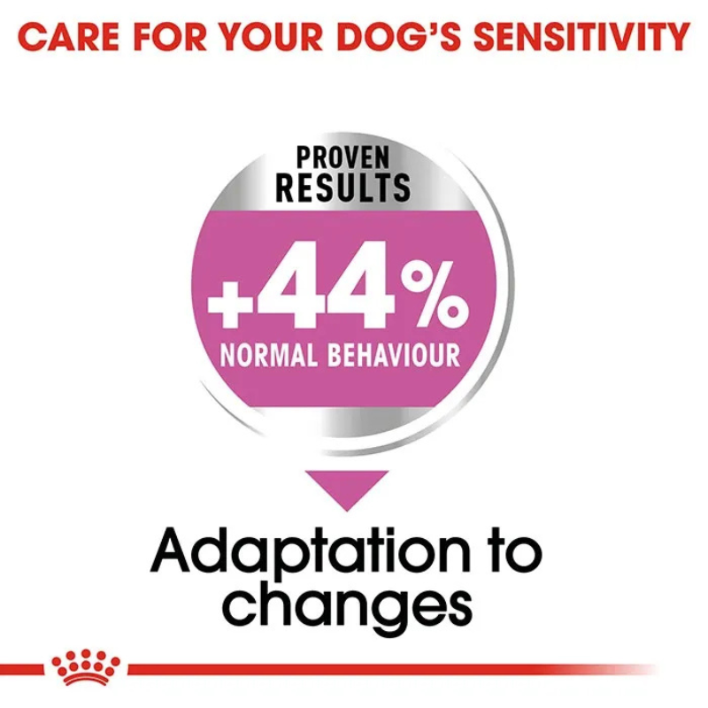 royal canin relax care medium