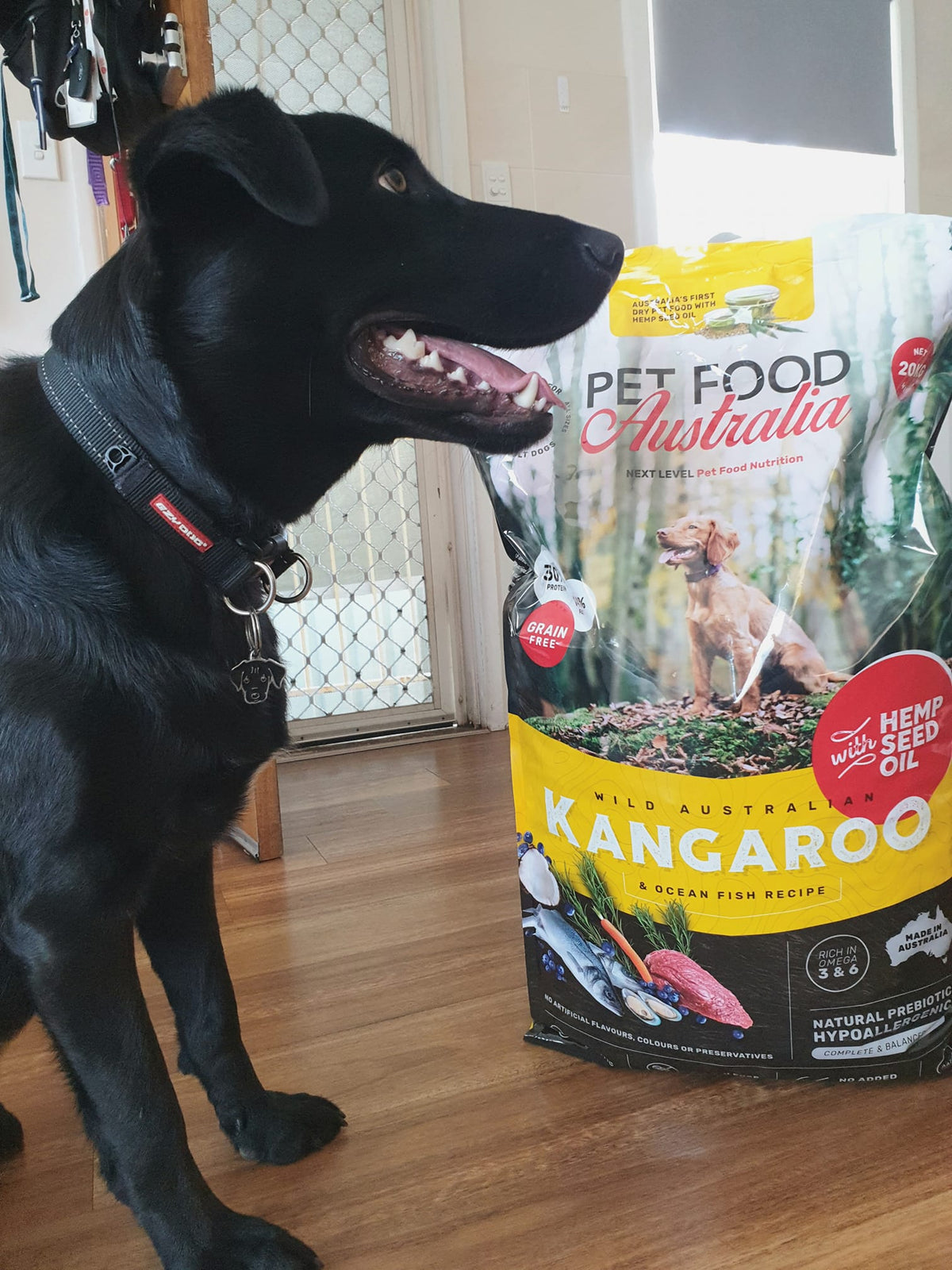 Kangaroo & Ocean Fish Dry Food