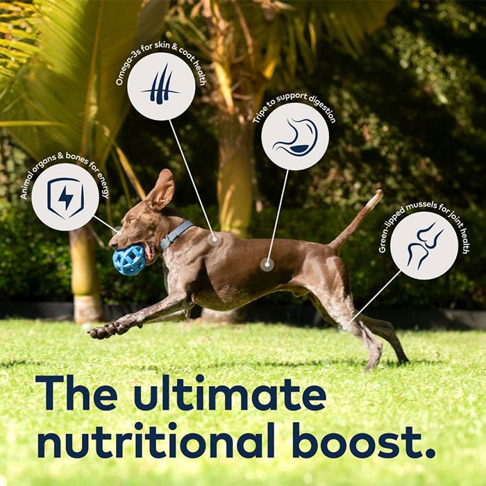 Ziwi Peak Lamb Air Dried Adult Dog Food Grain Free