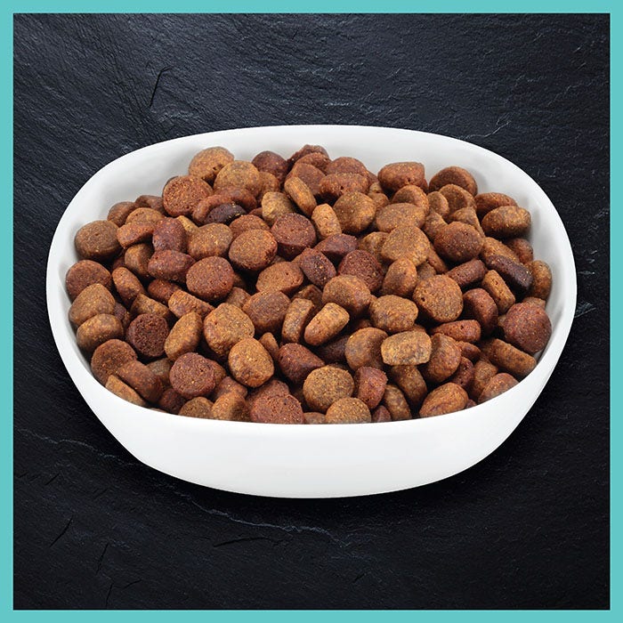Billy & Margot Salmon Superfood Puppy Food Grain Free