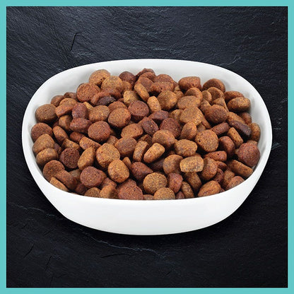 Billy & Margot Salmon Superfood Puppy Food Grain Free