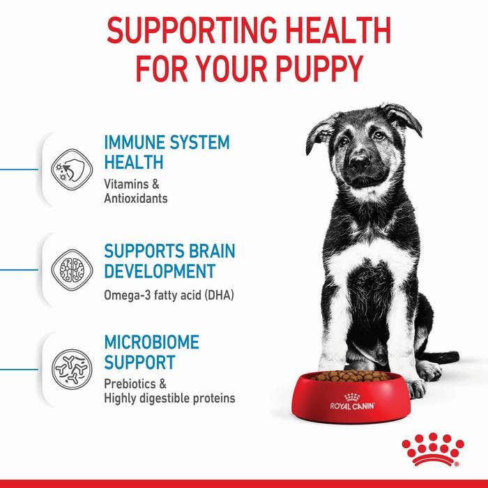 Royal Canin Maxi Breed Dry Puppy Food