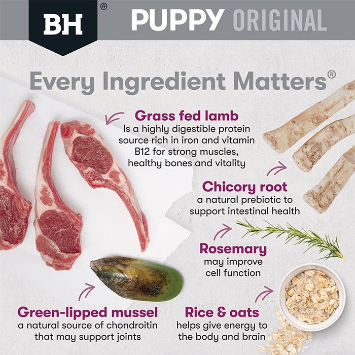 Black Hawk Lamb & Rice Large Breed Dry Puppy Food