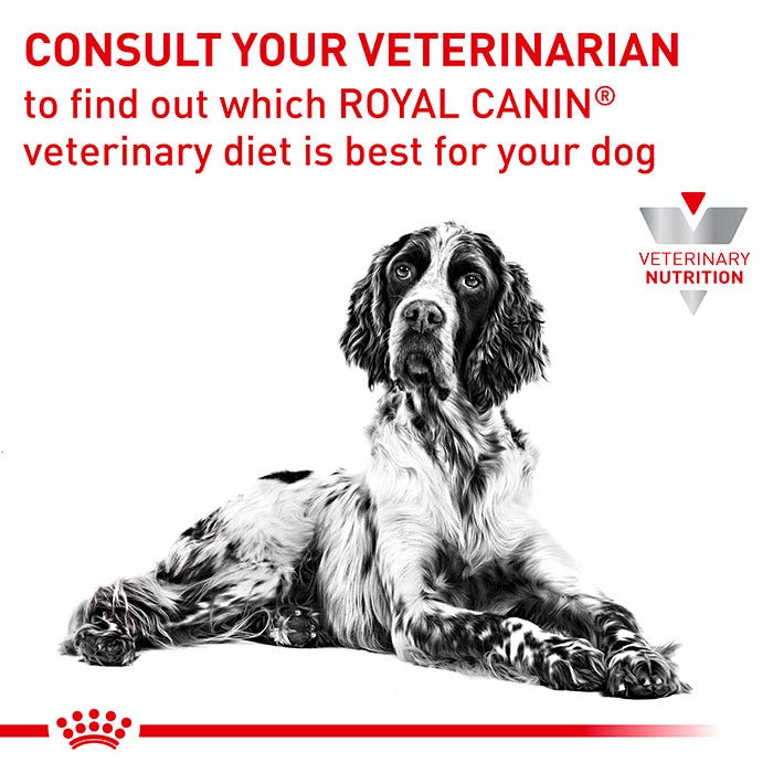 Royal Canin Veterinary Diet Hypoallergenic Adult Dry Dog Food