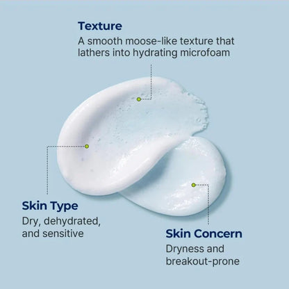 TORRIDEN DIVE-IN Low Molecular Hyaluronic Acid Cleansing Foam 150ml