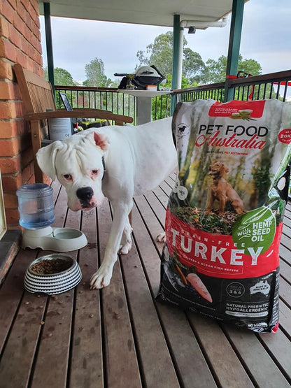 Turkey Dog Food Collective