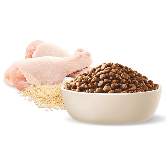 Advance Chicken & Rice Medium Breed Dry Puppy Food