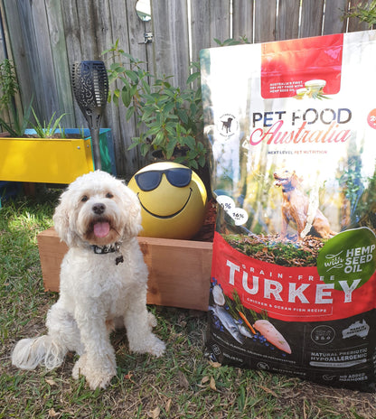 Turkey Dog Food Collective
