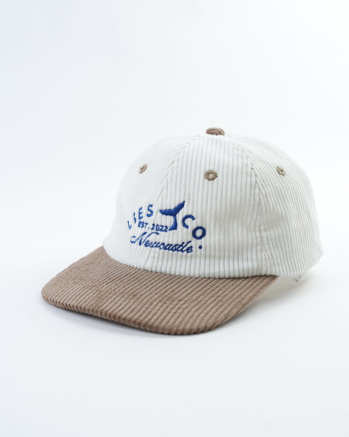 Whale Tail Mini Hat