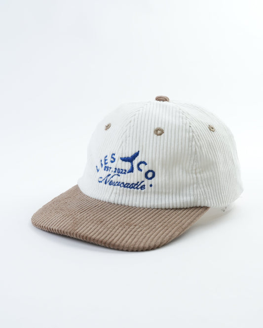 Whale Tail Mini Hat