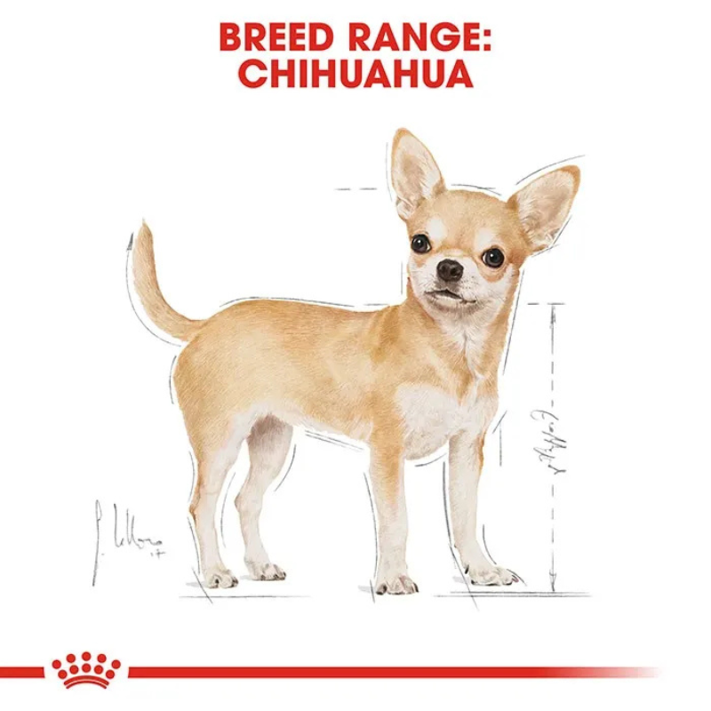 ROYALCANIN Chihuahua Adult Dog Food