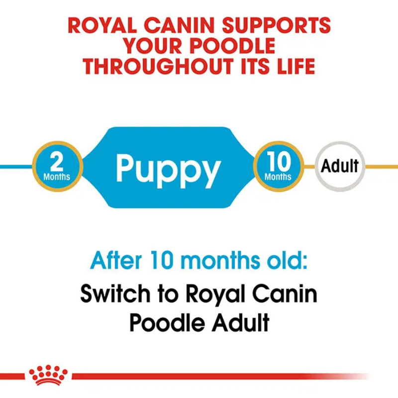 ROYAL CANIN Poodle Puppy Food