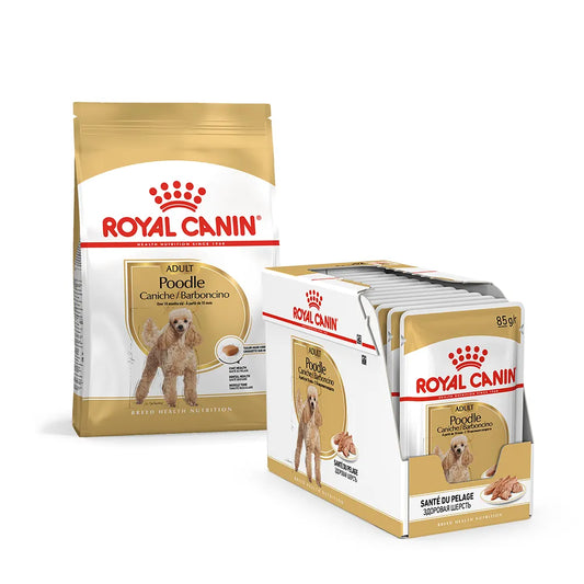 Royal Canin Poodle Bundle