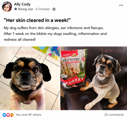 Turkey Dog Food Collective