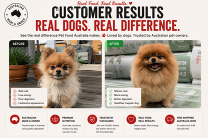 Turkey Dog Food Collective
