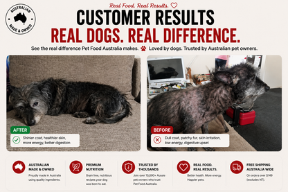 Turkey Dog Food Collective