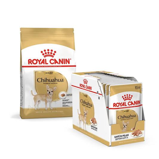 Chihuahua Bundle