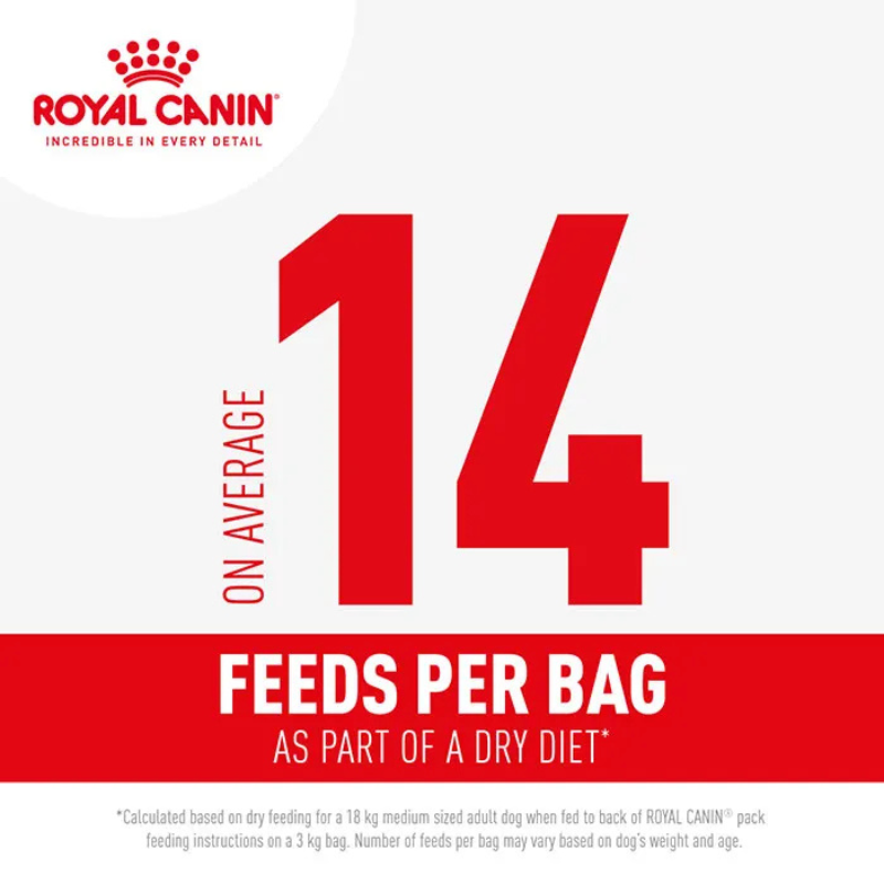 dermacomfort medium royal canin