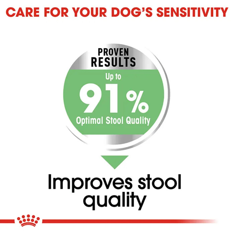 royal canin digestive care dog