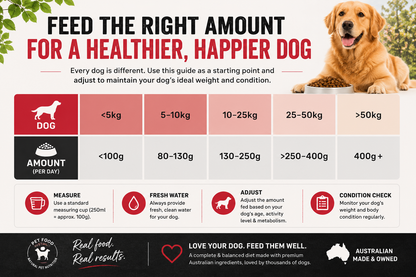 Kangaroo & Ocean Fish Dry Food