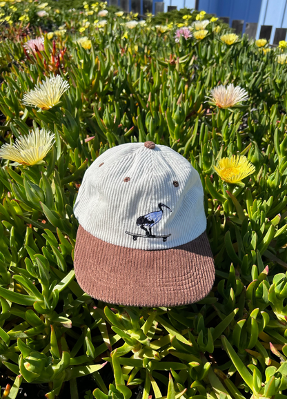 Skatepark Scavenger Hat