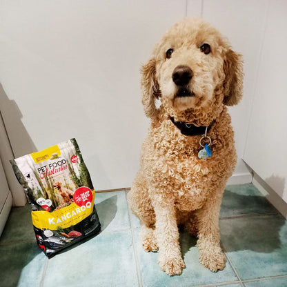 Kangaroo & Ocean Fish Dry Food