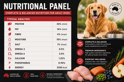 Turkey Dog Food Collective