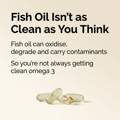 Phyto Omega 3
