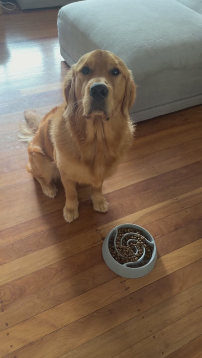 Royal Canin Golden Retriever Puppy Dry Dog Food 12kg