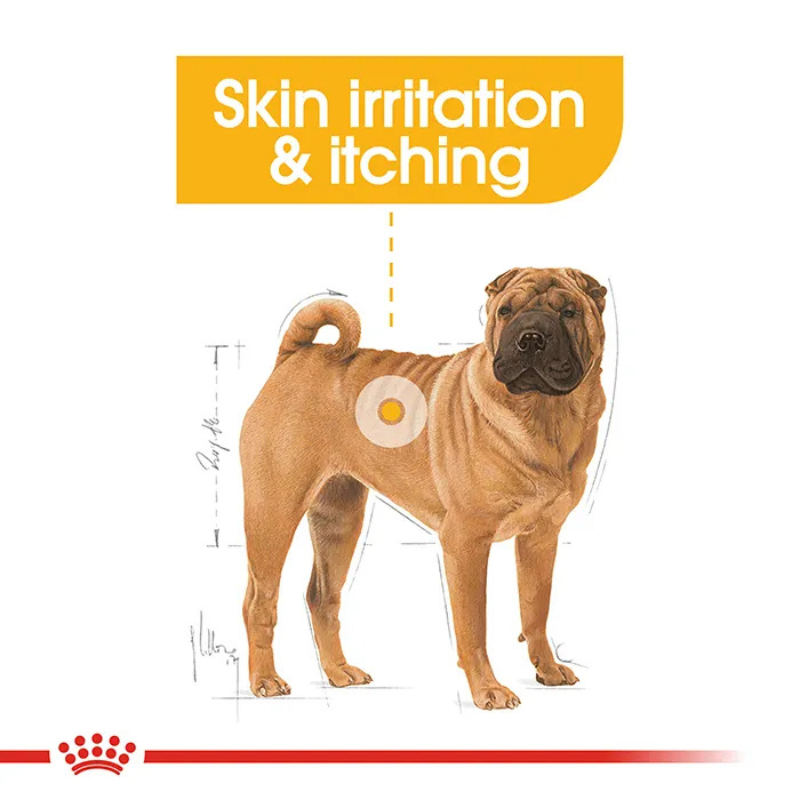 royal canin dermacomfort maxi