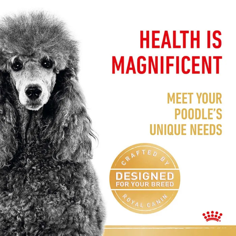 royal canin dog food poodle