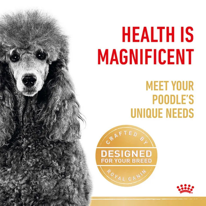 royal canin dog food poodle