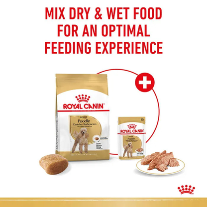 Royal Canin Poodle Dog Food