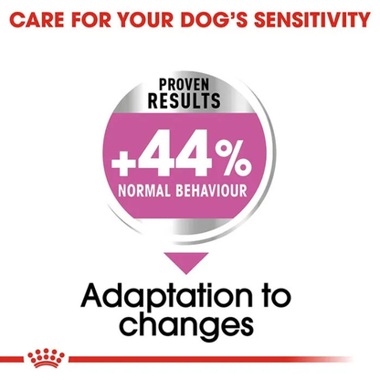 royal canin relax care medium