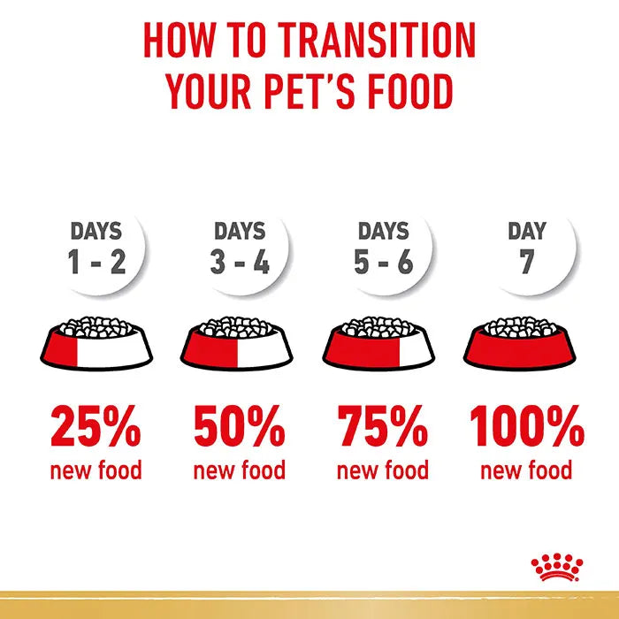 weight for cocker spaniel​